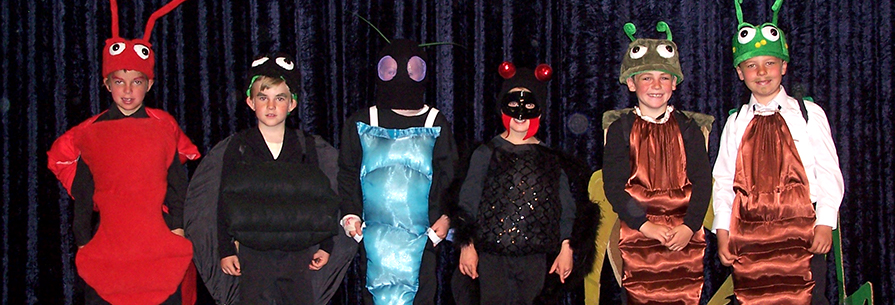 Students dressed in bug costumes pose in front of a curtain