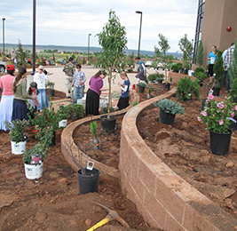 Students and staff members standing near a gardening and planting area